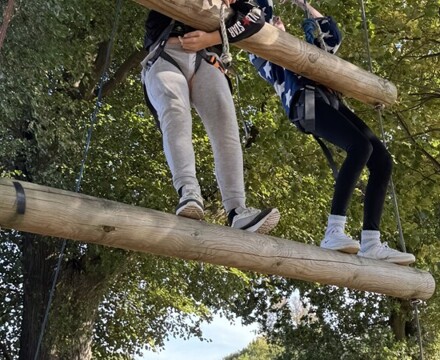 IMG 3241