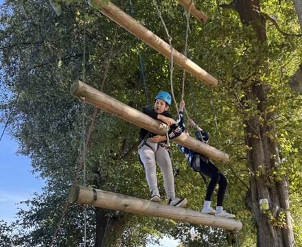 IMG 3241
