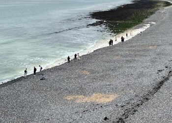 Year 11 Geography Field Trip – Birling Gap & Eastb...