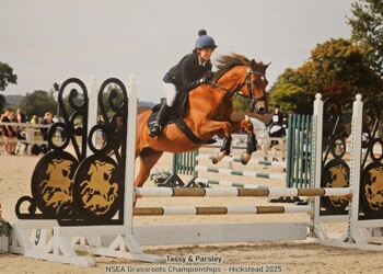 Beacon Academy Equestrian Team: A Strong Start to ...