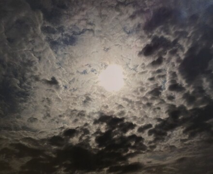 Art Exhibition October 2025 (86)