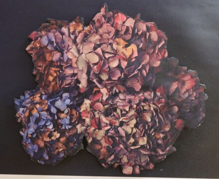 Art Exhibition October 2025 (96)