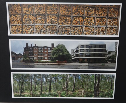 Art Exhibition October 2025 (111)