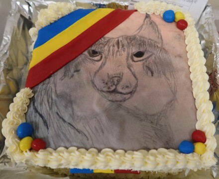 European Day of Languages 2025 (8)