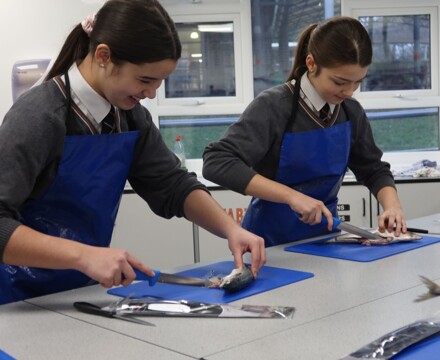 Fish Masterclass December 24 (69)