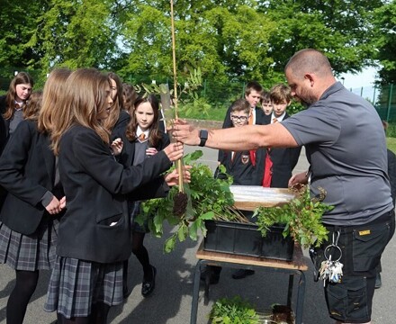 Sustainable school 6