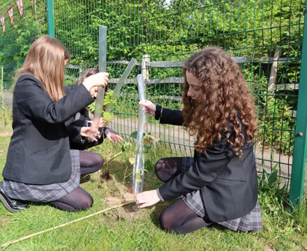 Sustainable school 5