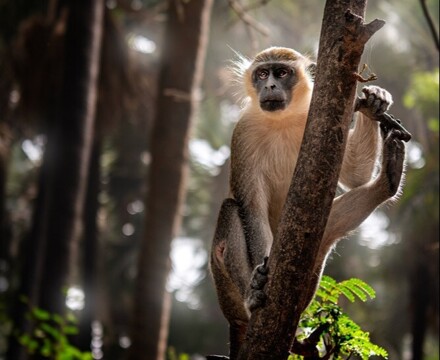 Gambia 2024 (25)