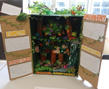 Humanities Independent Project June 25 (23)