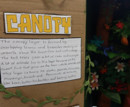 Humanities Independent Project June 25 (24)