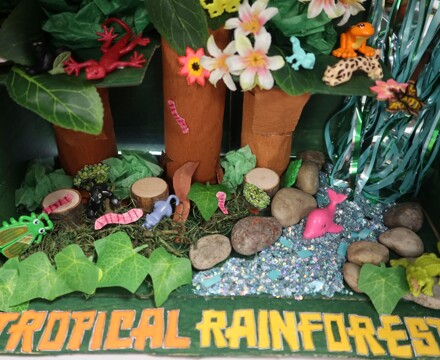 Humanities Independent Project June 25 (25)