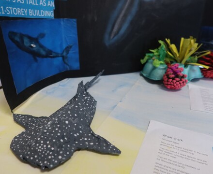 Humanities Independent Project June 25 (40)