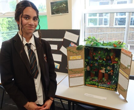 Humanities Independent Project June 25 (45)